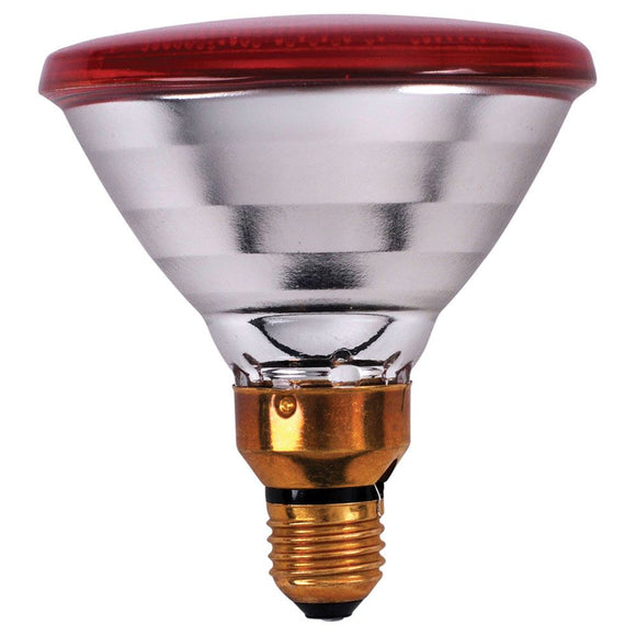 Phillips Infrared Red Lamp100W