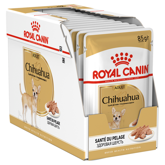 Royal Canin Chihuahua 12x 85g