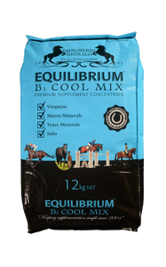 Equilibrium Blue 12kg