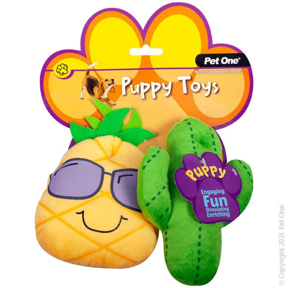 Dog Toy Puppy Cactus Family Assorted 2pc