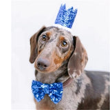 Dog Birthday Crown & Bow Tie Collar - Dark Blue
