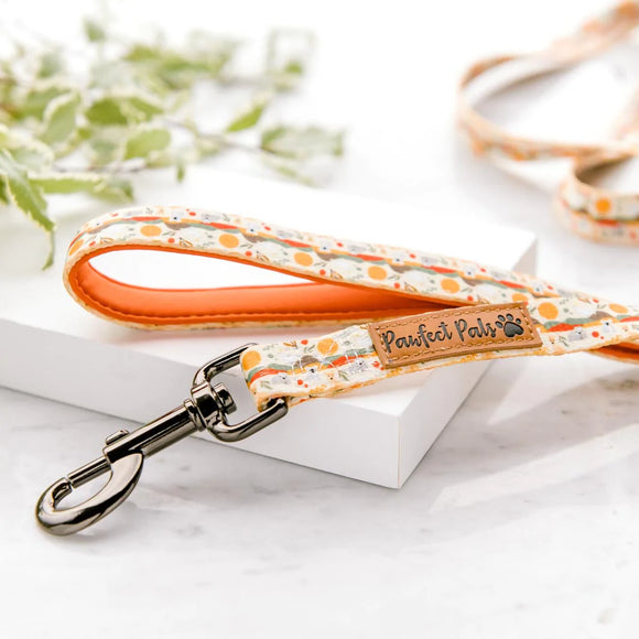 Pawfect Pals Dog Lead - Born to Explore