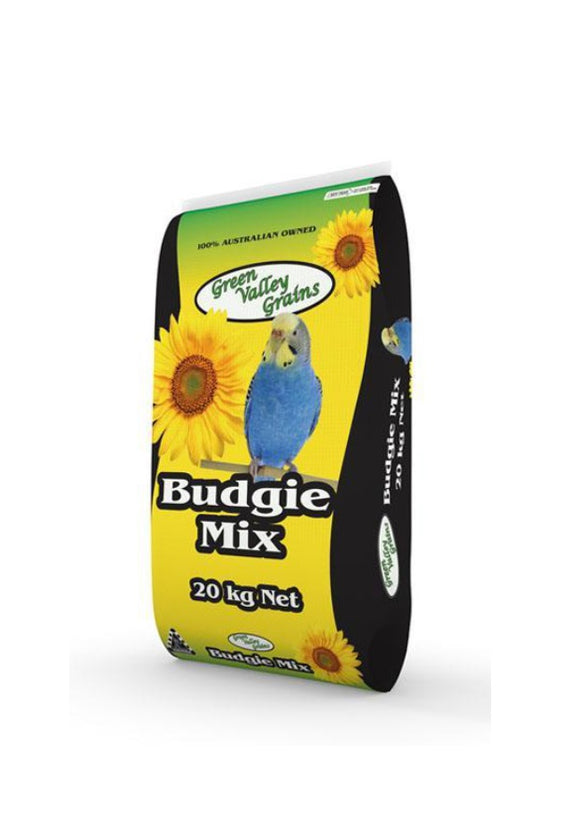 GVG Budgie
