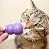Kong - Cat Kitty Kong (C4)