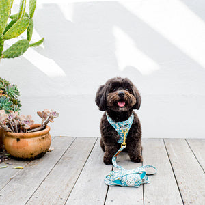 Pawfect Pals Poop Bag - Sweet Like Honey