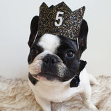 Dog Birthday Crown & Bow Tie Collar - Black & Gold