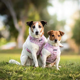 Pawfect Pals No Pull Harness- Precious Metal Dusty Pink
