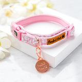 Pawfect Pals Precious Petal Dusty Pink Soft Collar