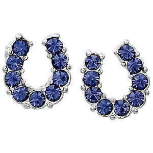 Earrings - Purple Rhinestone Horseshoe