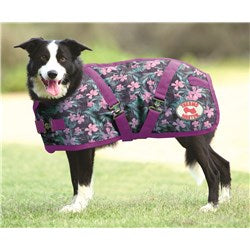 Kozy Tropical Dog Coat