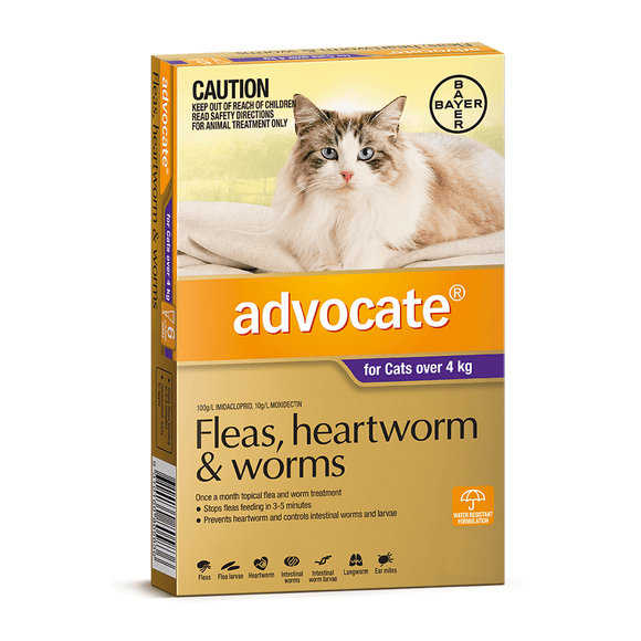 Advocate Cats over 4kg - 6pk