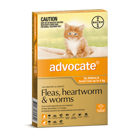 Advocate Kittens & Small Cats up to 4kg 6pk