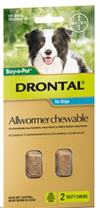 Drontal Chewable All Wormer - Medium 2pk