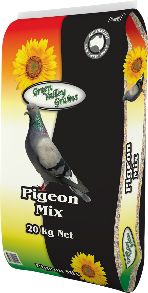 GVG Pigeon