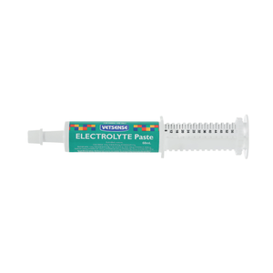 Electrolyte Paste 60ml