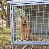 Dog Kennel - 2 Bay Raised Dog Kennel New Fibreglass Flooring